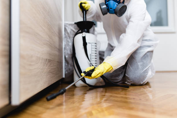 Wasp Removal Services in Garden View, PA