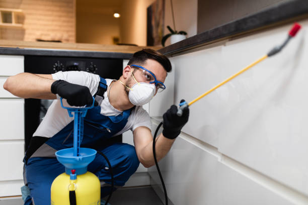 Best Pest Control Near Me  in Garden View, PA