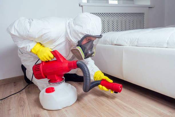 Best Rat Extermination Near Me  in Garden View, PA