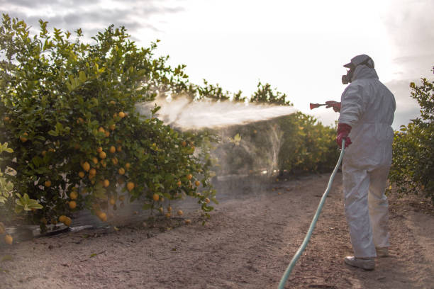 Best Wasp Removal Services  in Garden View, PA
