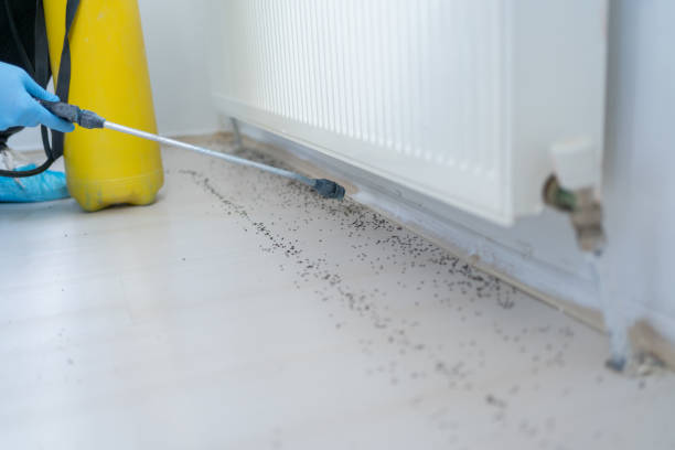Best Wasp Removal Services  in Garden View, PA