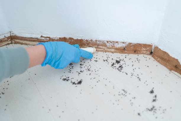 Best Pest Removal Services  in Garden View, PA