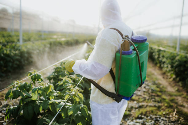 Best Emergency Pest Control  in Garden View, PA